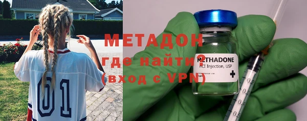 прущие грибы Нестеровская