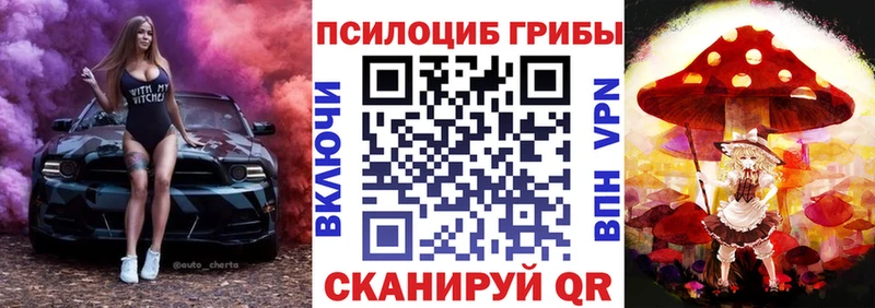 Псилоцибиновые грибы Psilocybine cubensis Купить закладки Россошь